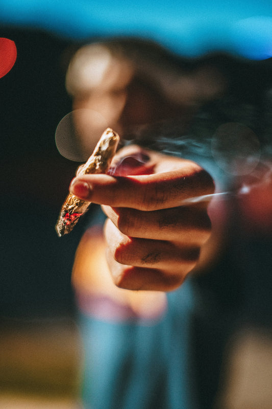 What Is THC-A? A Closer Look at the Raw Side of Cannabis