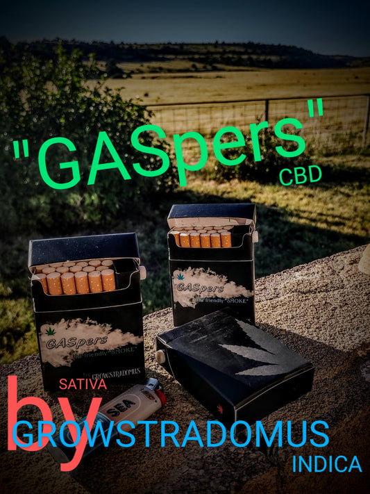 GASpers 🟦🟥🟩